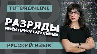 Разряды имён прилагательных | Русский язык | TutorOnline