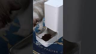 Effortless Feeding | Xiaomi Smart Pet Food Feeder