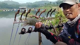 SELALAU ADA SAMBARAN NEROLOK ( golongan senar muter ) DI SEPOT PASIR TUGU