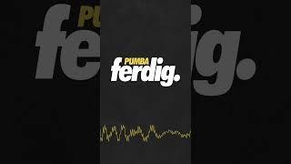 Pumba - Ferdig