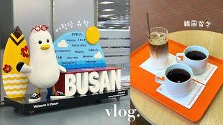 ［釜山vlog］韓国留学スタート！釜山に到着🫧한국유학생 브이로그