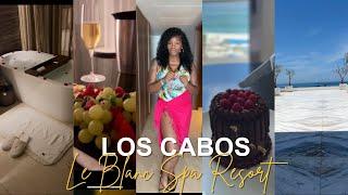 Los Cabos Vlog Le Blanc Spa Resort- Birthday Celebration