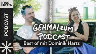 Best Of  | "Ich muss weinen! " | gehmalzumpodcast mit DominikHartz | Der Songpoeten Podcast