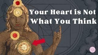 Your Heart is Not What You Think | The Hidden Power of the Heart