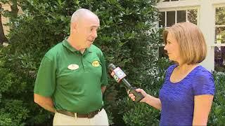Pike Nurseries fall lawn care tips and tricks