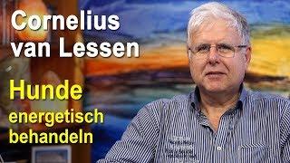 Hunde energetisch behandeln | Cornelius van Lessen