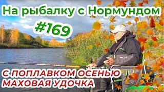 С МАХОВОЙ УДОЧКОЙ В ОСЕНЬ / На рыбалку с Нормундом #169