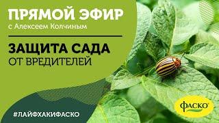 Защита сада от вредителей