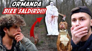 ORMANDA KÖPEK KATİLİNİN MEZARLIĞINI BULDUK!! (SALDIRIYA UĞRADIK!)