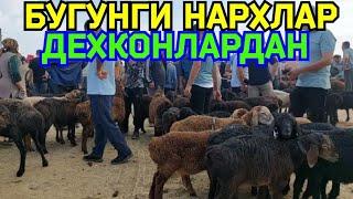 22.07.2024 КУЙ КУЗИ КУЧКОР ЭЧКИ НАРХЛАРИ ДЕХКОНЛАРДАН КАРШИ КАРВОН МОЛ БОЗОРИДА