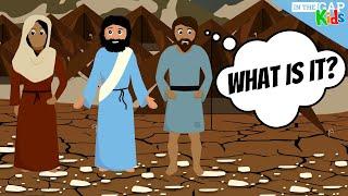 God Sends Manna from Heaven | Sunday School Bible Adventures for Kids | Orderliness (Week 1)