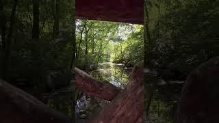 Central Park, NYC