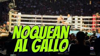 GALLO ESTRADA VS BAM RODRIGUEZ KO FULL FIGHT