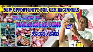 Learn to Madagascar Gem