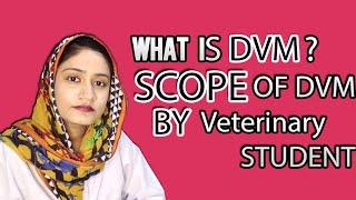 Veterinary Studies? | Scope of Doctor of Veterinary medicine