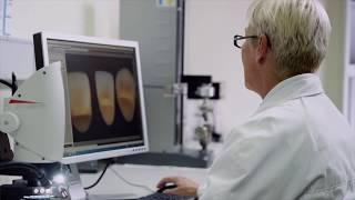 Denture teeth manufacturing at Kulzer in Wasserburg (EN)