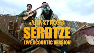 ALBATROSS - Serdtze️ - LIVE Acoustic (OST Birchpunk Retrozavodsk)