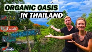 What It's Like Living on a Farm in Thailand - Thailand Travel Vlog 2022