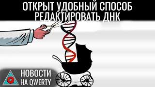 Баф на привлекательность. Новый метод редактирования генома. Мышление без языка. Новости QWERTY №306