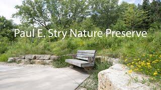 Paul E. Stry Nature Preserve | La Crosse Wisconsin | Small Town Seekers Photography