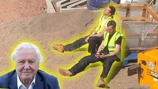 The Best of Attenborough on Site  