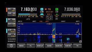 Elecraft K4 On 40 Meter SSB