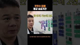 주짓수 띠별 평균 승급 기간은 얼마나 걸릴까..?? #어바웃스토리 #주짓수 #운동 #승급