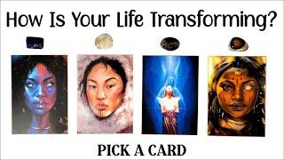 PICK A CARD 🩵 Message From Your Future Self 