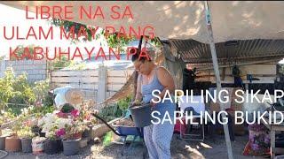 BUHAY BUKID/ PANO KUNG WALA KAMING SARILING BUKID? ITO ANG LIBANGAN AT PANG KABUHAYAN/ LovelaceVLOG