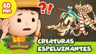 Criaturas ESPANTOSAS?!  Arañas, Escarabajos Peloteros, Gusanos 🪲 | Leo, El Explorador | Animación