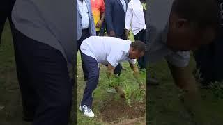 LE COUPLE PRÉSIDENTIEL DENIS SASSOU-N'GUESSO ET ANTOINETTE SASSOU-N'GUESSO PLANTE LES ARBRES #congo