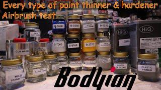 Bodyian automotive paint review