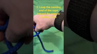 How To Tie A Taut-line Hitch