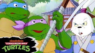 TMNT (1987) FULL EPISODE: "Usagi Yojimbo"  | Teenage Mutant Ninja Turtles