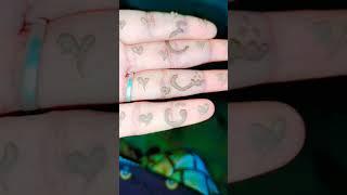 #heenavlogs ️#viralvideos #followforfollowback ️️️