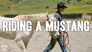 How to Ride A Mustang for the First Time