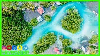 This is a UNIQUE Experience In ROATAN Honduras