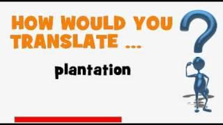 FRENCH TRANSLATION QUIZ = plantation