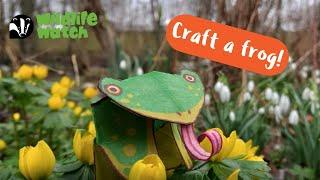 Wildlife Wednesday: How to craft a frog!