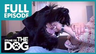 The Clumsiest Show Dog: Bailey | Full Episode | It's Me or the Dog