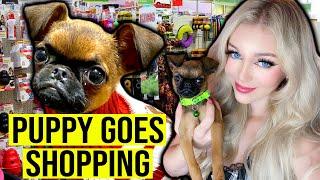 My New Puppy Goes Shopping for the FIRST TIME EVER! | Lyssy Noel Vlogs