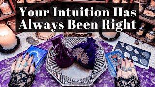 Your Intuition Has Always Been Right! A Confirmation You Need To Hear..