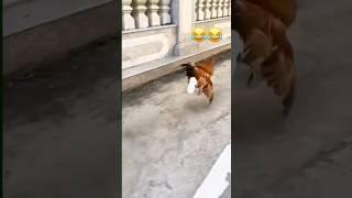 This is unbelievable  #comedy #funny