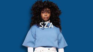  SZA 노래 모음 | 신곡, 피처링 포함 | 분위기 playlist