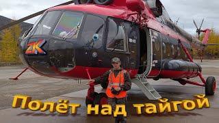 Полёт над тайгой.