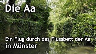 Die Aa in Münster | Flug durch das Flussbett vom Kreuzviertel bis zum Aasee