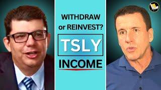 50-70% Yield: Spend or Reinvest TSLY?