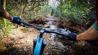 STILL the chunderflow epic ride of my dreams | Mountain Biking Avery & Bennet in Pisgah