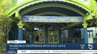 SeaWorld San Diego reopening with restrictions