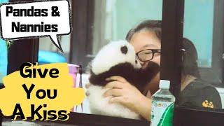 Cute Panda Baby's Happy Life With Nannies | iPanda